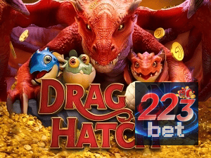 223BET PIX instantâneo Brasil - Depósito e saque em minutos 24/7